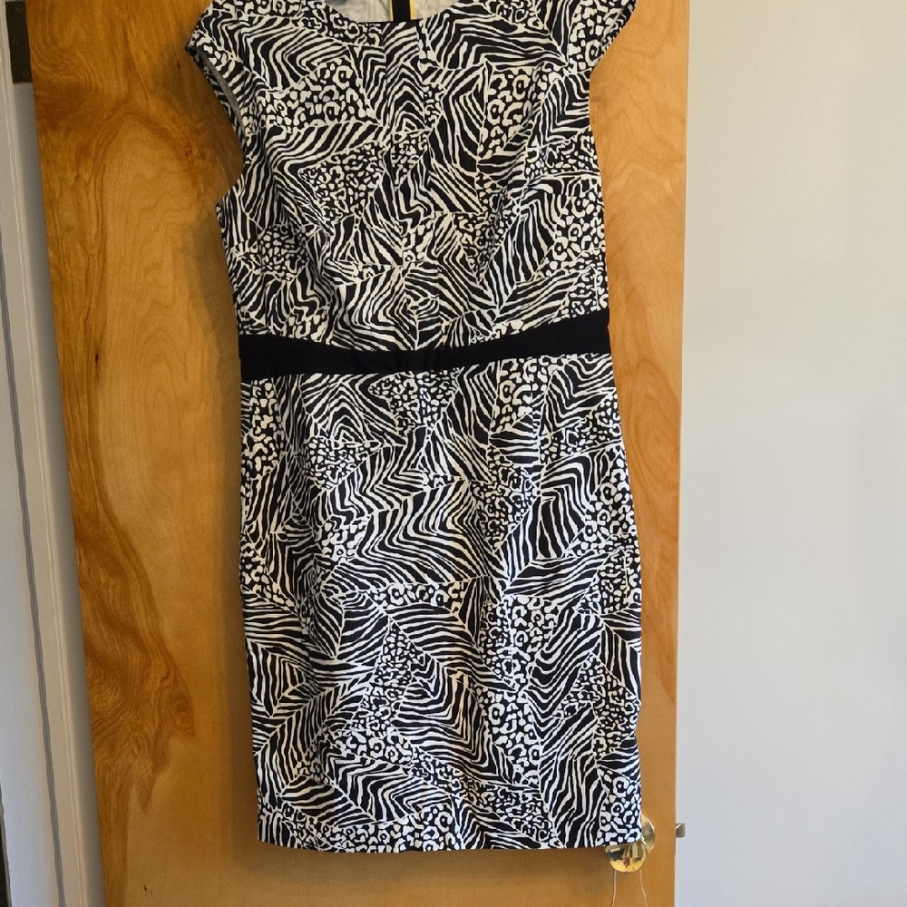 NWOT Paperwhite Dress Size 14